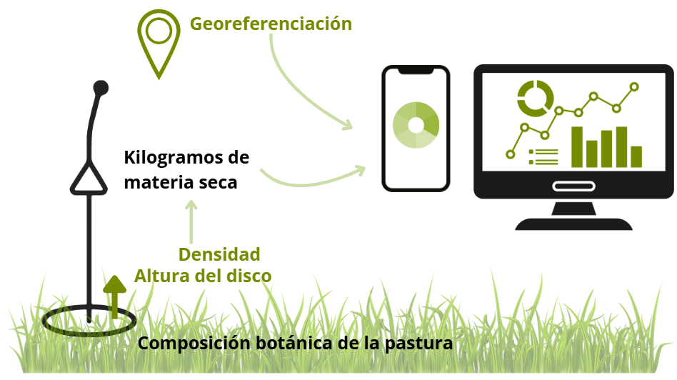 pasturometro funcionamiento