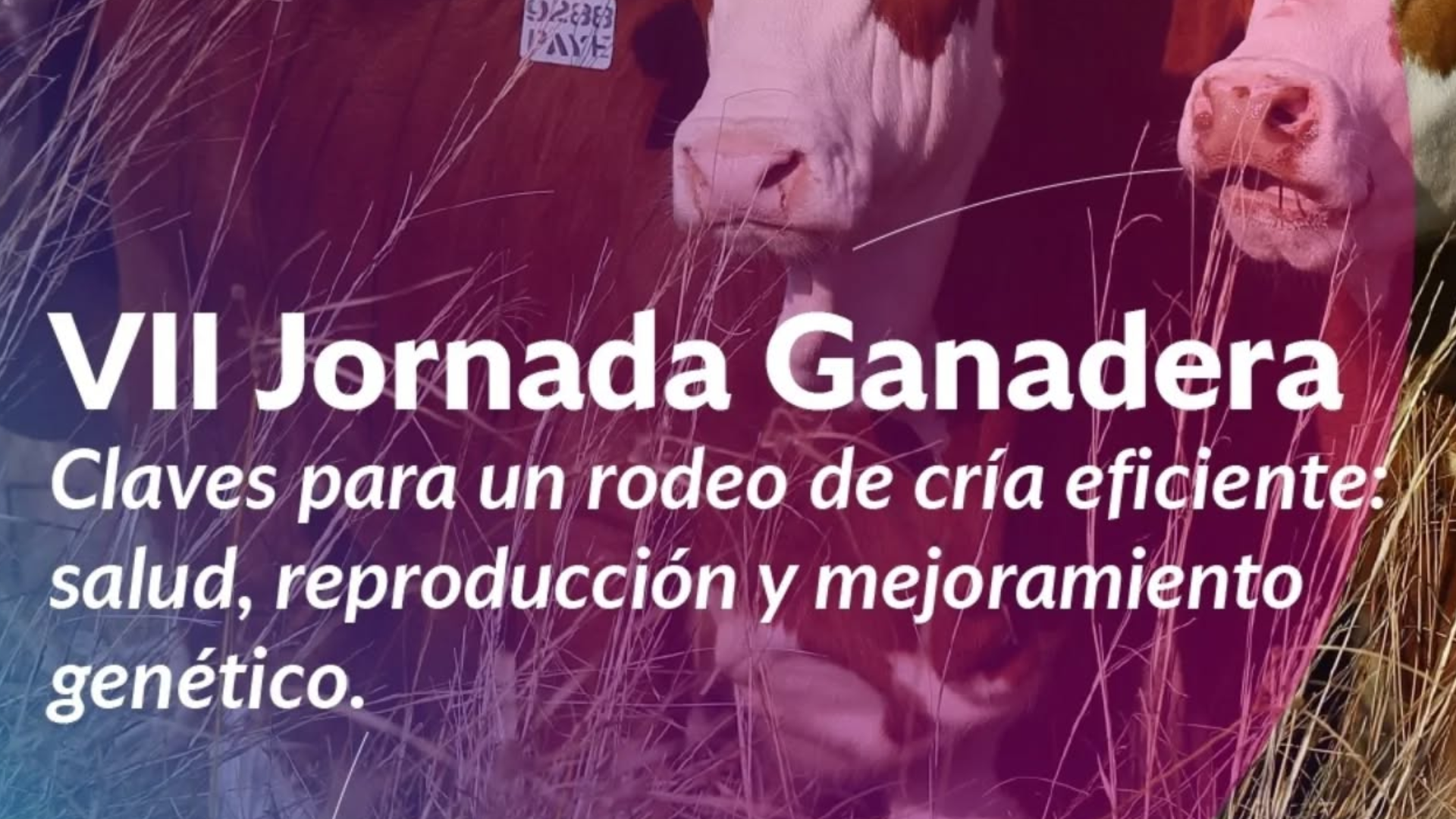 VII Jornada Ganadera